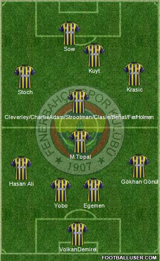Fenerbahçe SK Formation 2012