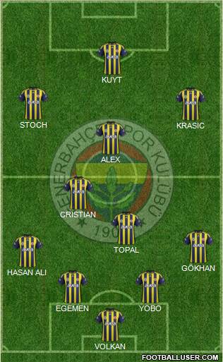 Fenerbahçe SK Formation 2012