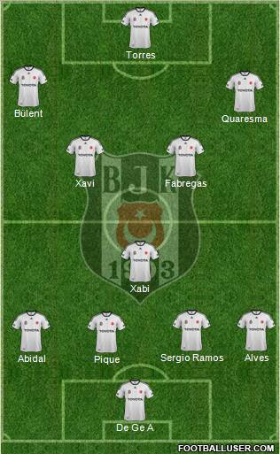 Besiktas JK Formation 2012