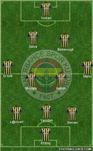 Fenerbahçe SK Formation 2012