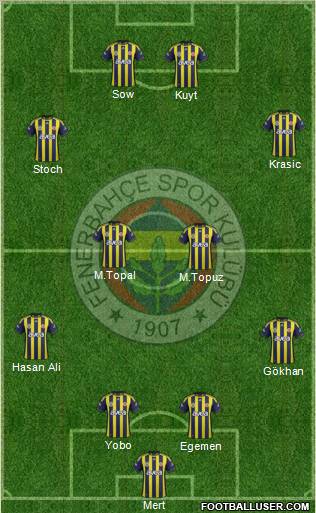 Fenerbahçe SK Formation 2012