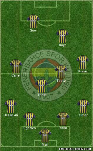 Fenerbahçe SK Formation 2012