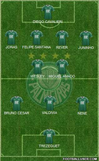 SE Palmeiras Formation 2012