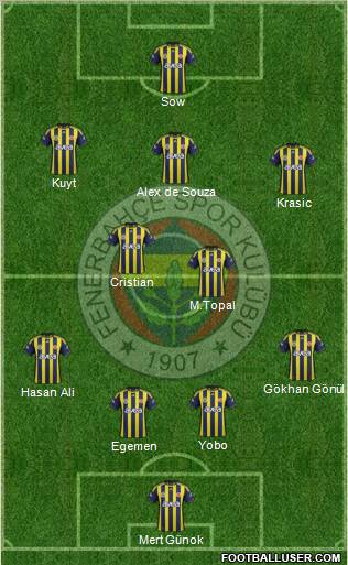Fenerbahçe SK Formation 2012