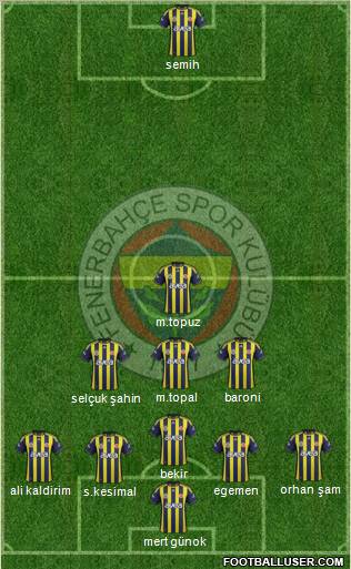 Fenerbahçe SK Formation 2012