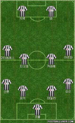 Newcastle United Formation 2012