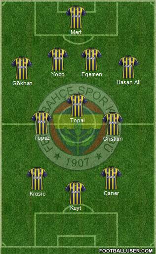 Fenerbahçe SK Formation 2012