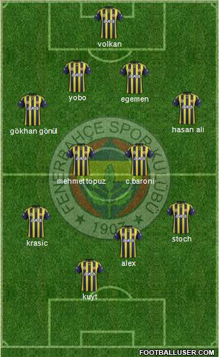 Fenerbahçe SK Formation 2012