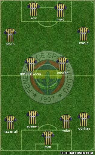 Fenerbahçe SK Formation 2012