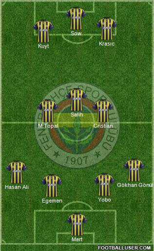 Fenerbahçe SK Formation 2012