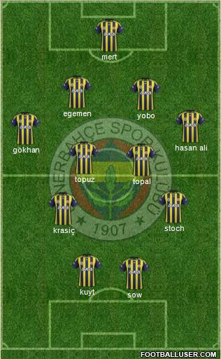 Fenerbahçe SK Formation 2012