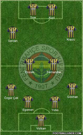 Fenerbahçe SK Formation 2012
