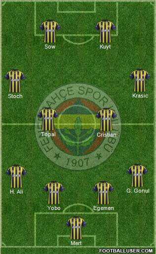 Fenerbahçe SK Formation 2012