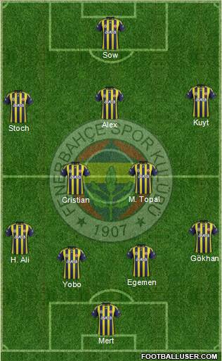 Fenerbahçe SK Formation 2012