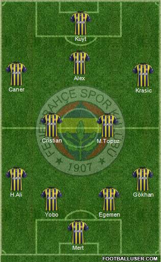 Fenerbahçe SK Formation 2012