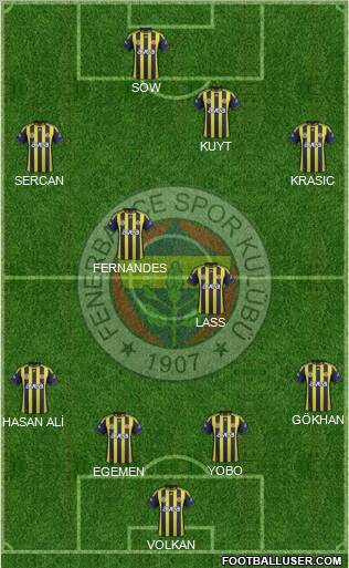 Fenerbahçe SK Formation 2012