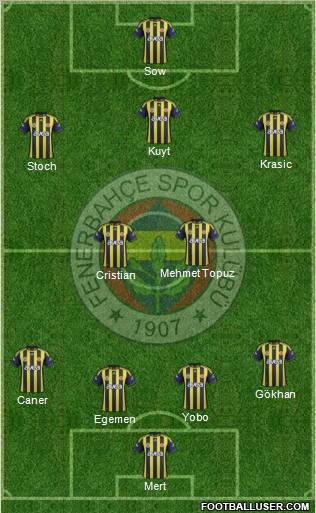 Fenerbahçe SK Formation 2012