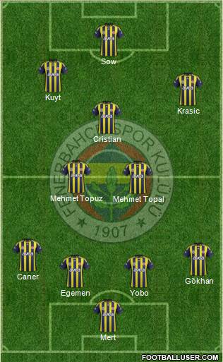 Fenerbahçe SK Formation 2012