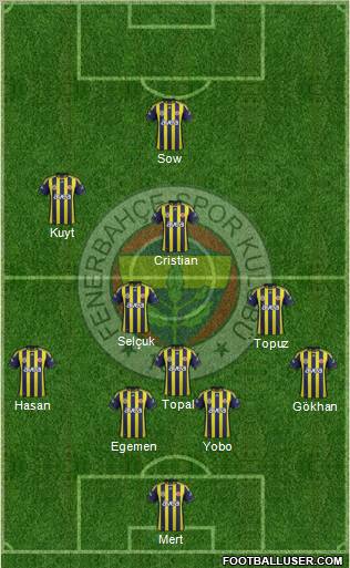 Fenerbahçe SK Formation 2012
