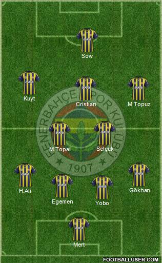 Fenerbahçe SK Formation 2012