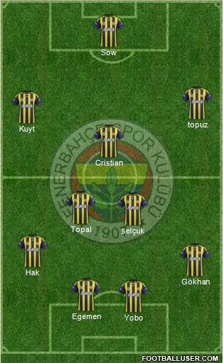 Fenerbahçe SK Formation 2012