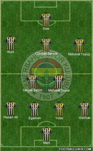 Fenerbahçe SK Formation 2012