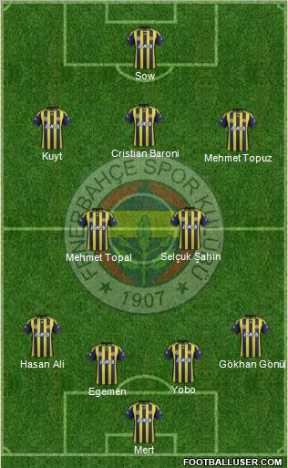 Fenerbahçe SK Formation 2012