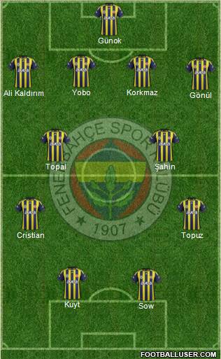 Fenerbahçe SK Formation 2012