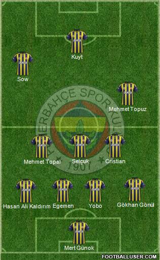 Fenerbahçe SK Formation 2012