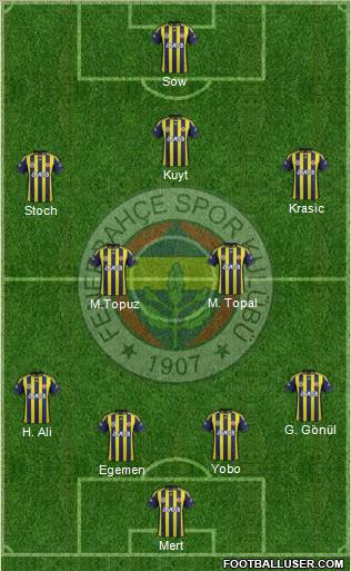 Fenerbahçe SK Formation 2012