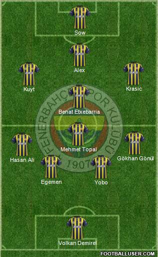Fenerbahçe SK Formation 2012