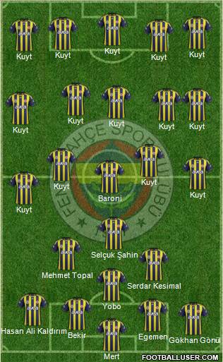Fenerbahçe SK Formation 2012