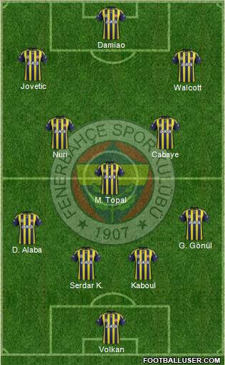 Fenerbahçe SK Formation 2012
