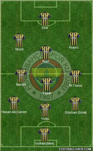 Fenerbahçe SK Formation 2012