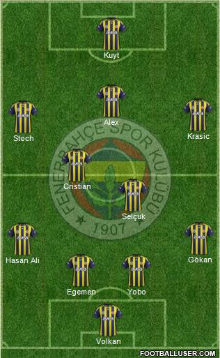 Fenerbahçe SK Formation 2012