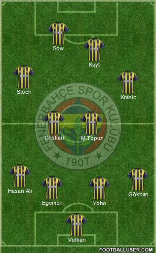 Fenerbahçe SK Formation 2012