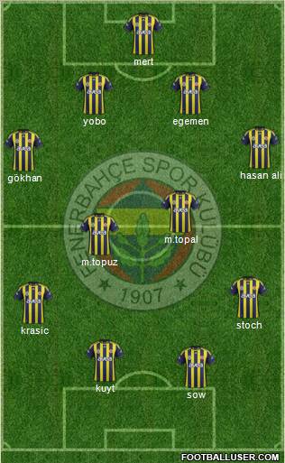 Fenerbahçe SK Formation 2012