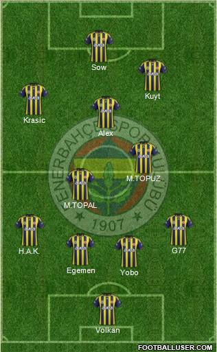 Fenerbahçe SK Formation 2012