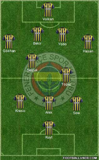 Fenerbahçe SK Formation 2012