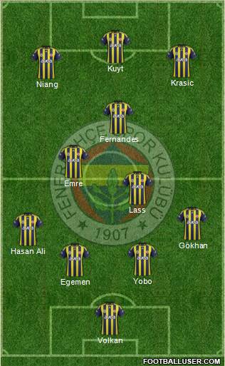 Fenerbahçe SK Formation 2012