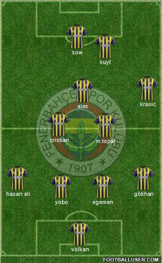 Fenerbahçe SK Formation 2012