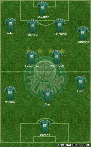 SE Palmeiras Formation 2012