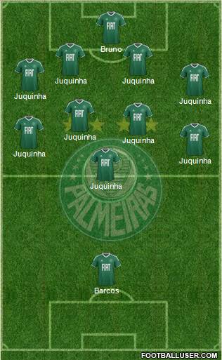 SE Palmeiras Formation 2012