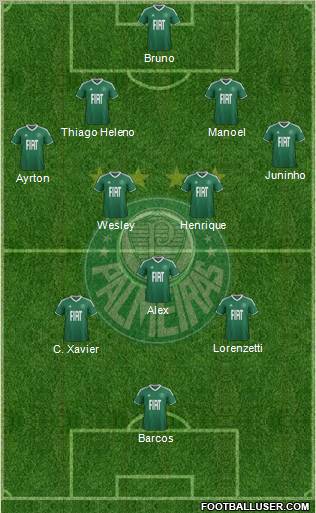 SE Palmeiras Formation 2012