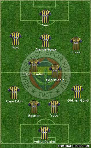 Fenerbahçe SK Formation 2012