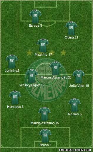 SE Palmeiras Formation 2012