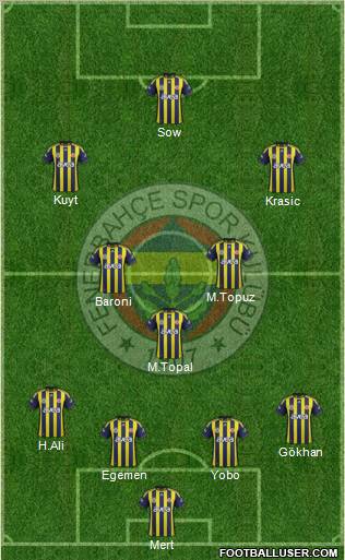 Fenerbahçe SK Formation 2012