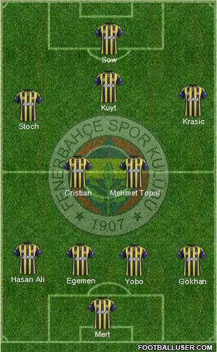 Fenerbahçe SK Formation 2012