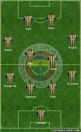 Fenerbahçe SK Formation 2012