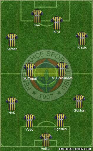 Fenerbahçe SK Formation 2012